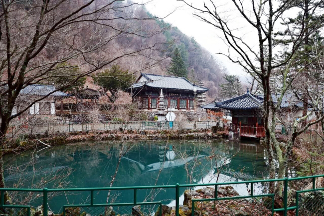 소도동 청원사와 용담 태백시가 매입 나선다