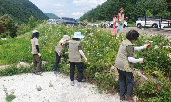 “외래식물 제거가 화훼장식으로 재탄생”