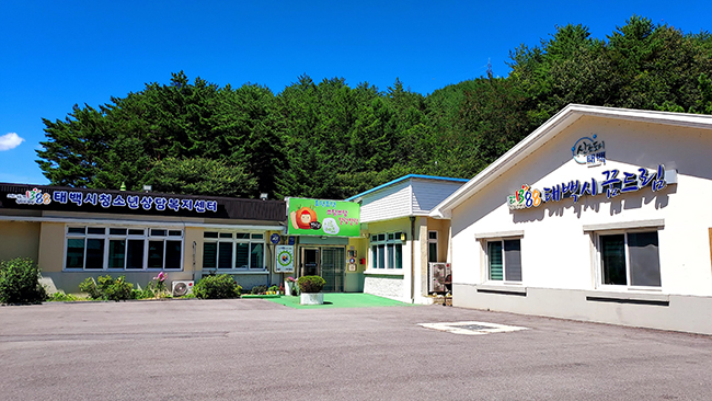 태백시학교밖청소년지원센터, 2026년 졸업학력 검정고시 합격자 20명 배출