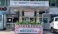 철암동, 어르신 마음 돌봄 ‘반려식물 지원 사업’ 추진