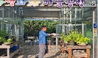 고한읍, 야생화 보급으로 주민과 함께 만드는 ‘정원마을’ 조성 본격화